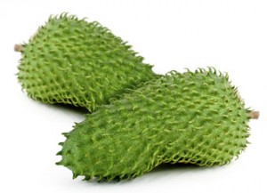Corossol graviola bio
